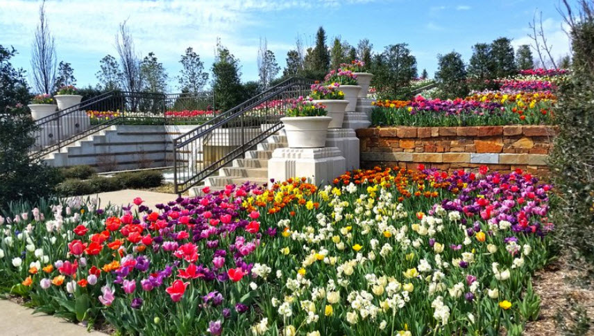 Tulsa Botanic Garden, United States